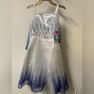 Disney princess costume ( Snow queen Elsa)